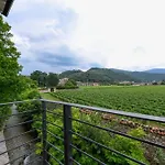 Il Vigneto 3*