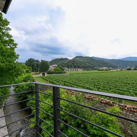Il Vigneto 3*